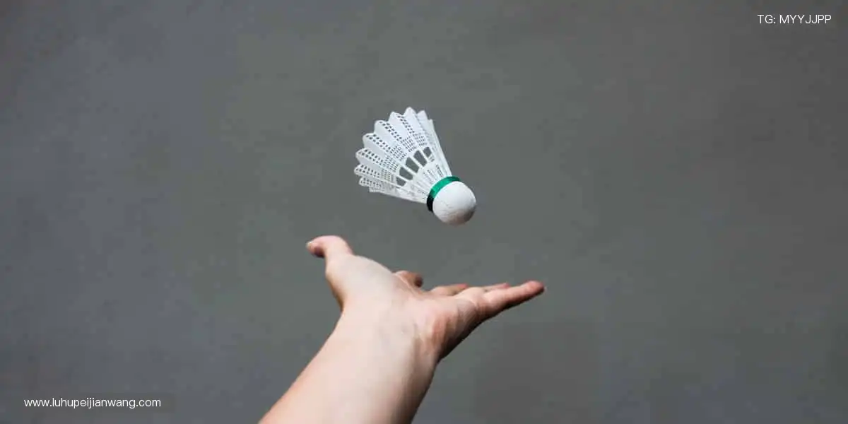 球迷专属装备库,限量潮品一键收藏!🎁